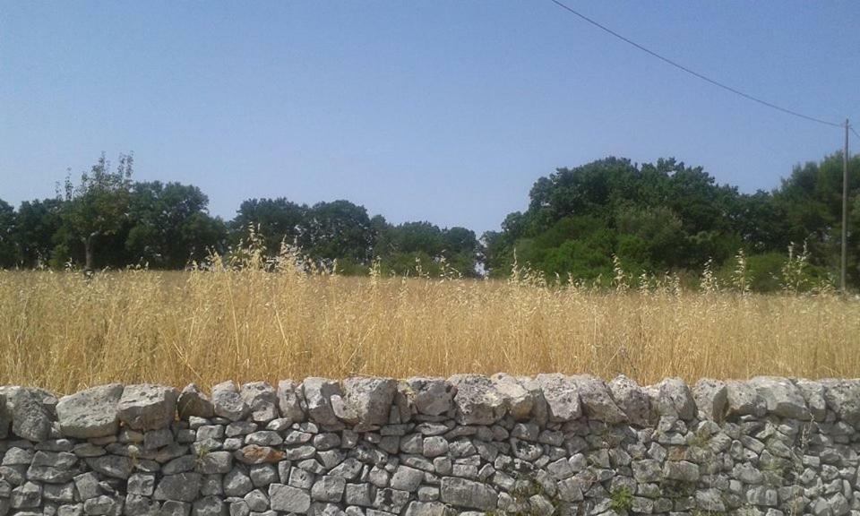 Trullo Le Tre Sorelle Cisternino Bagian luar foto